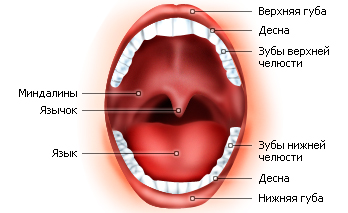 Диавол ты когда извинишься перед Богом 41592