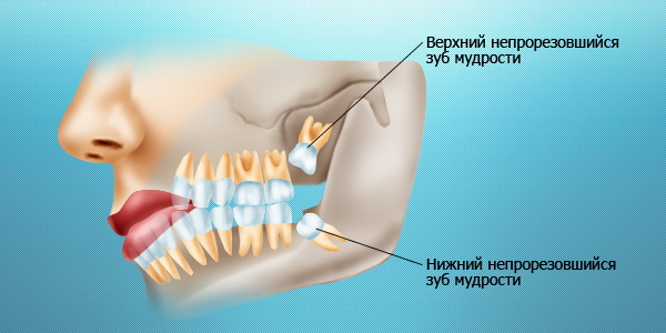Если болит спина при езде