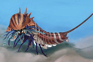 Обнаружен древний морской хищник с тремя рядами зубов