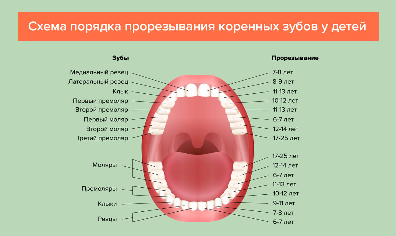 Таблица развития ребенка до года зубы thumbnail