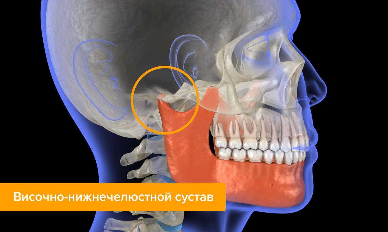 Височно-нижнечелюстной сустав в картинках