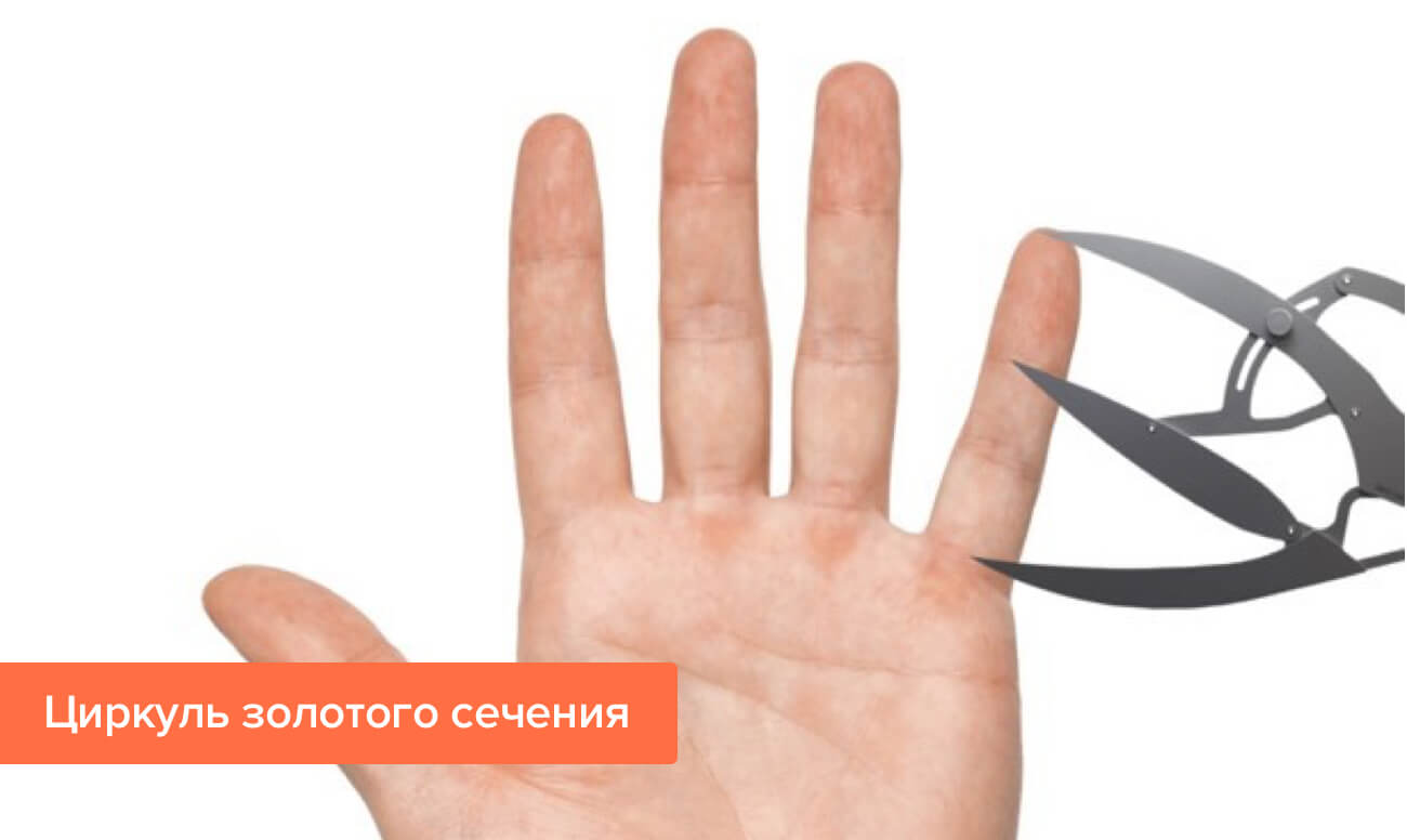 Фото циркуля золотого сечения