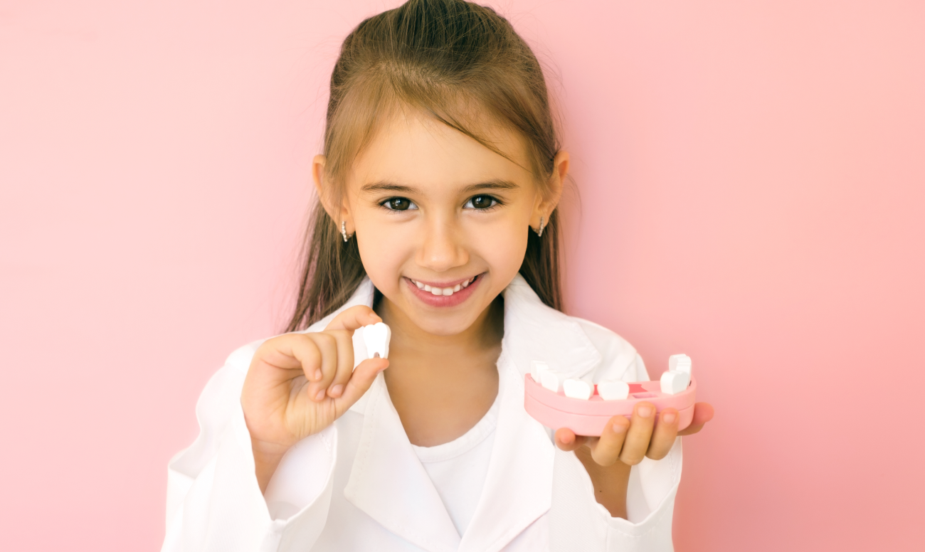 Фото девочки с демонстрационной моделью зубов в руках