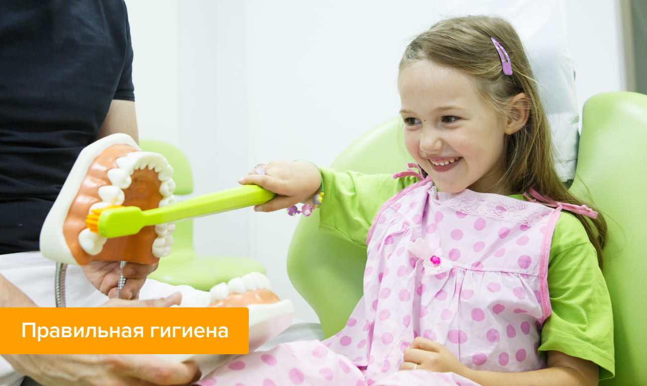 Фото ребенка, которого стоматолог-гигиенист обучает правильной чистке зубов
