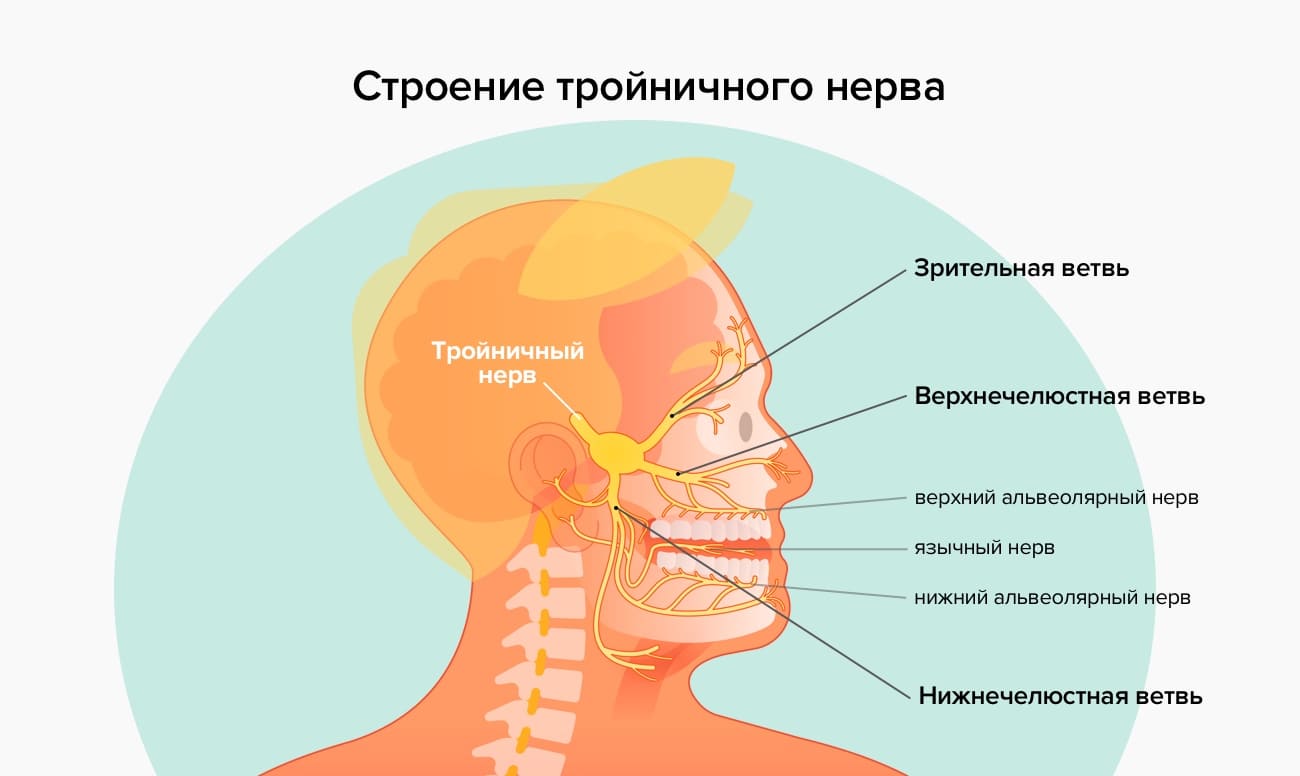 Симптомы невралгии тройничного нерва в картинках