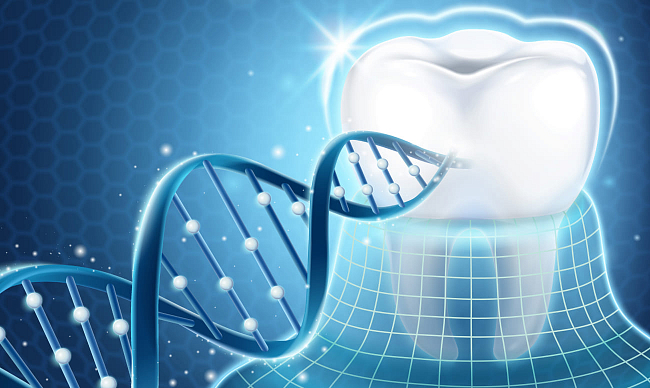 Под прицелом генов: плохая наследственность зубов