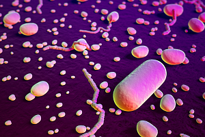 Меньше бактерий – больше заболеваний