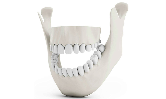 Надкостница зуба — что это такое, функции